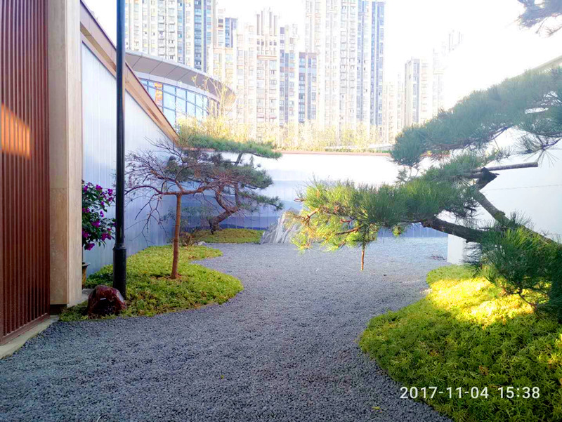 0029cc金沙贵宾会(集团)股份有限公司-BinG百科